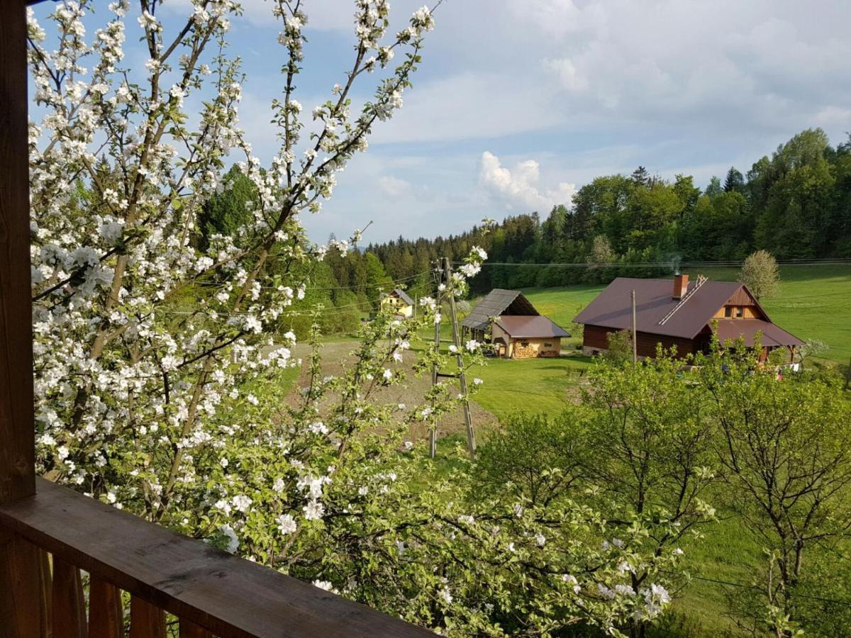Vila Gosciniec Tokarzonka Istebna Exteriér fotografie