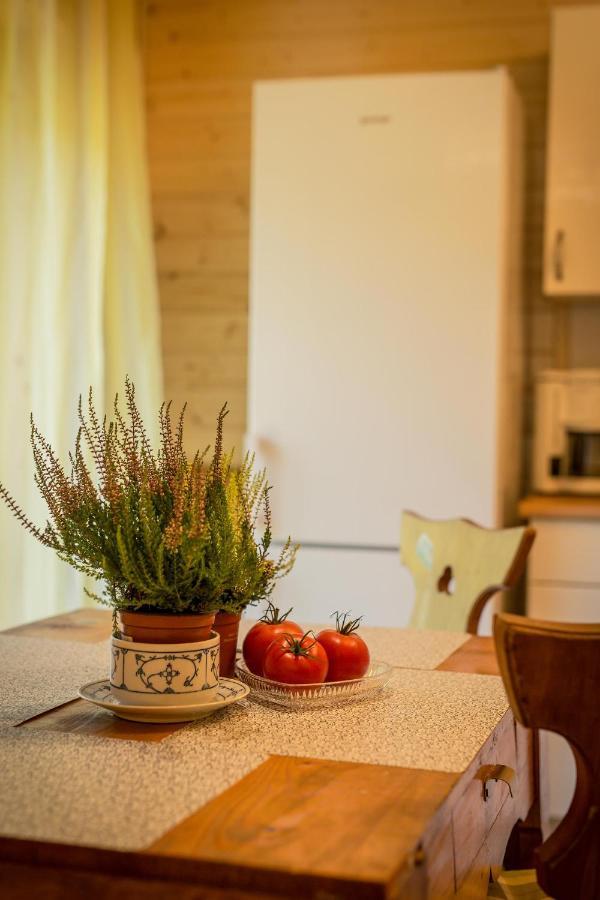 Vila Gosciniec Tokarzonka Istebna Exteriér fotografie